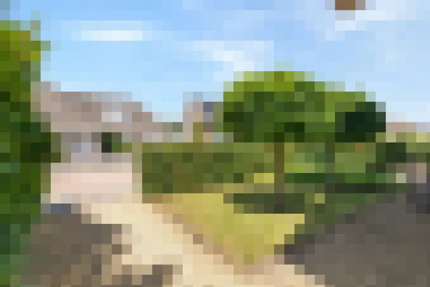 Bovenschap 8 Overasselt thumbnail 41