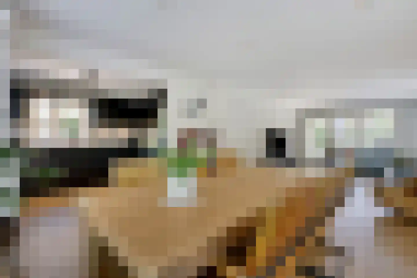 Bovenschap 8 Overasselt thumbnail 8