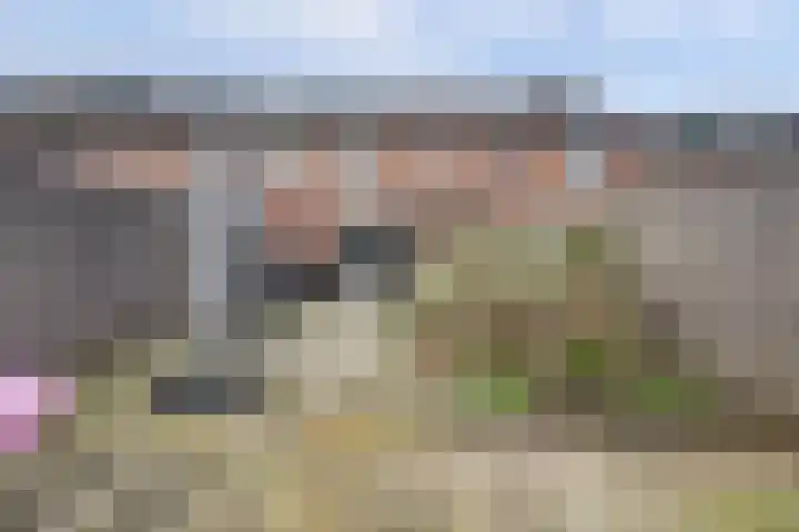 Bovensim 16 Hoogvliet Rotterdam thumbnail 26