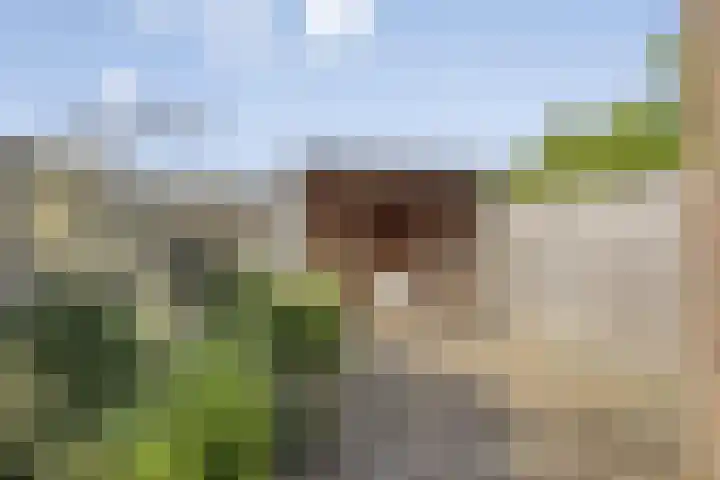 Bovensingel 190 Kampen thumbnail 24