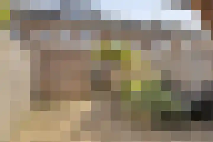 Bovensingel 190 Kampen thumbnail 28