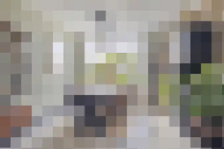 Bovensingel 190 Kampen thumbnail 6