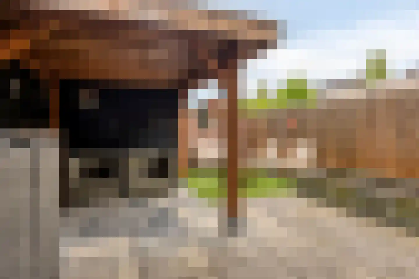 Bovensingel 80 Kampen thumbnail 33