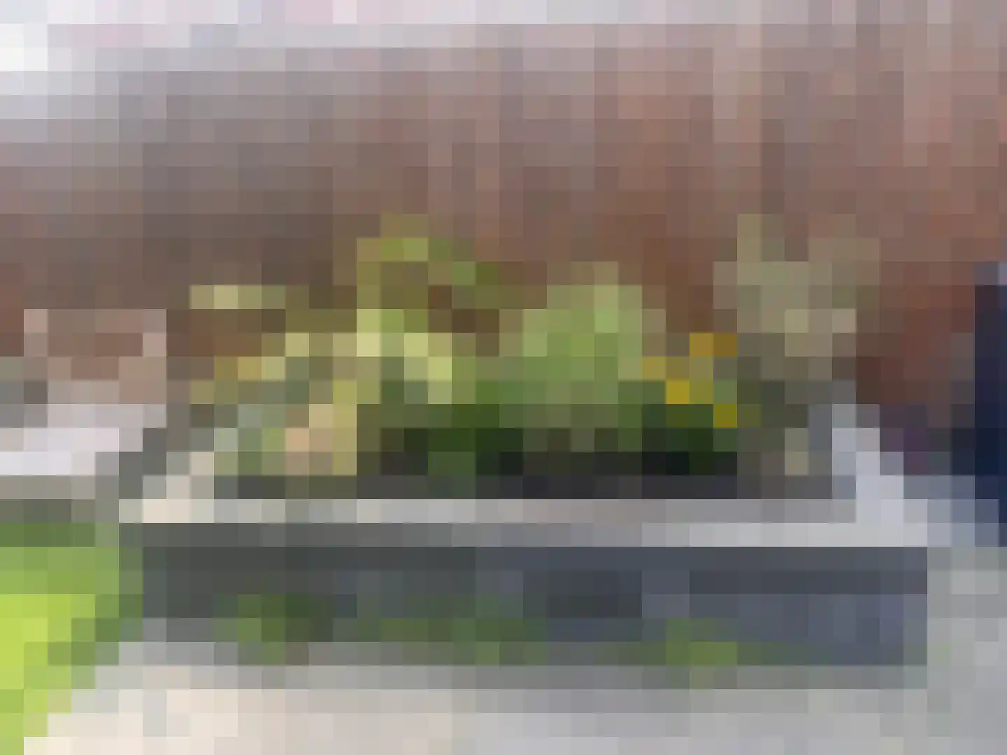 Bovensingel 80 Kampen thumbnail 35