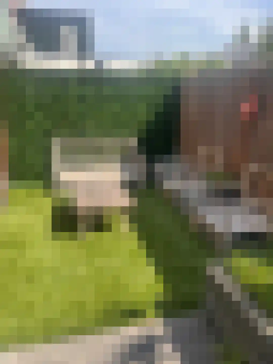 Bovensingel 80 Kampen thumbnail 36