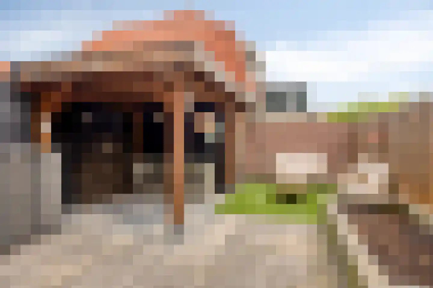 Bovensingel 80 Kampen thumbnail 4