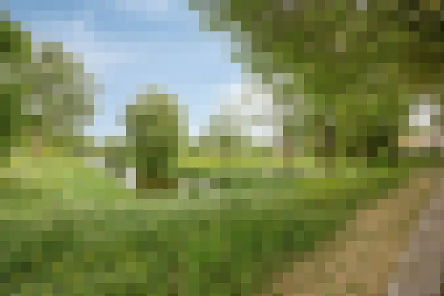 Bovensingel 80 Kampen thumbnail 41