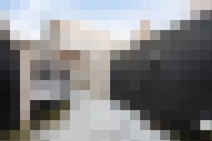 Bovensingel 88 Kampen thumbnail 22