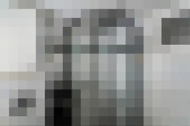 Bovensingel 88 Kampen thumbnail 32