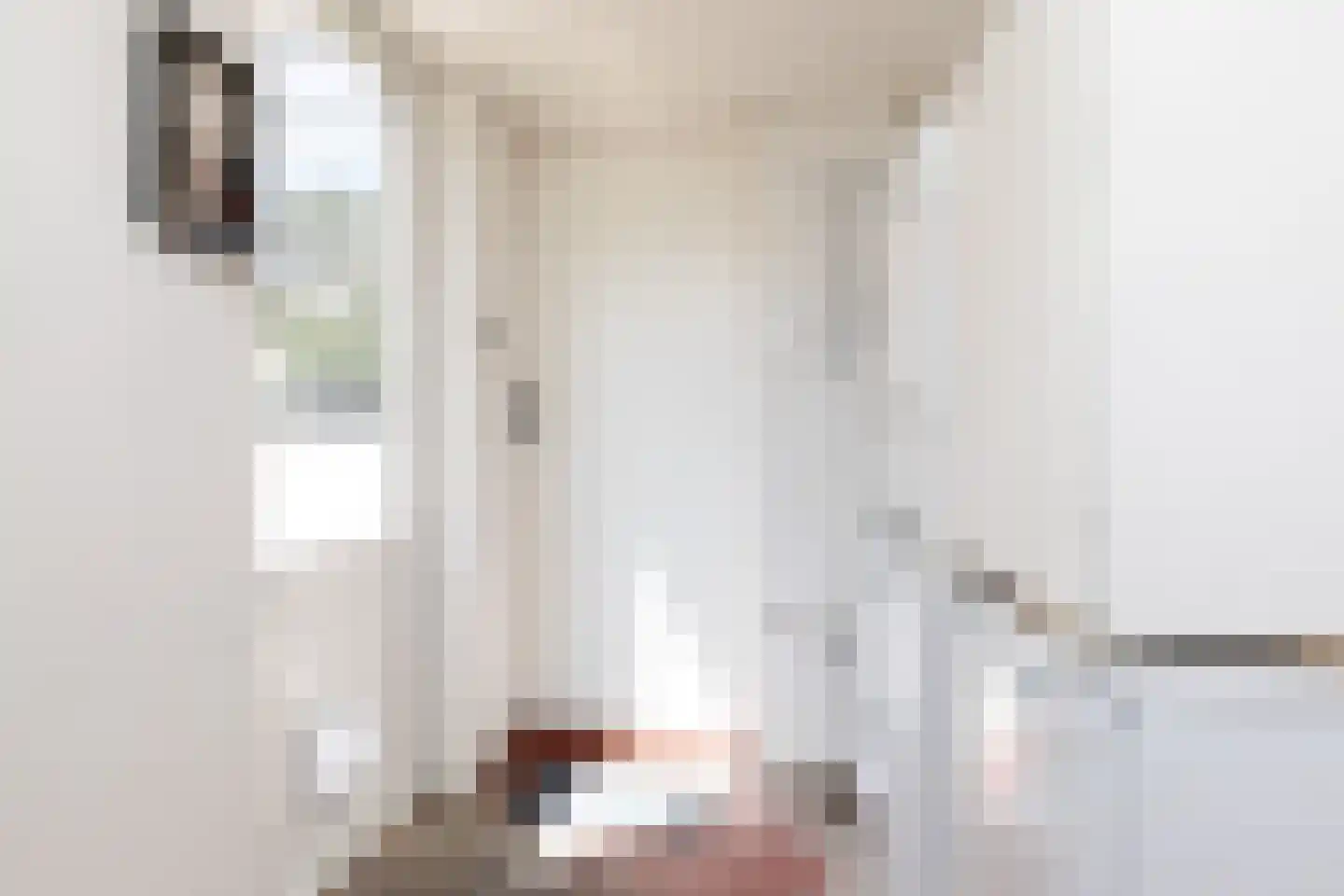 Bovenslag 21 Sneek thumbnail 11