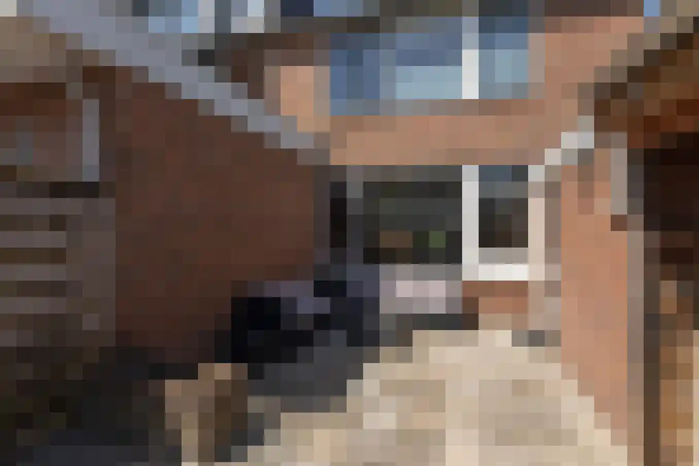 Bovenslag 21 Sneek thumbnail 37