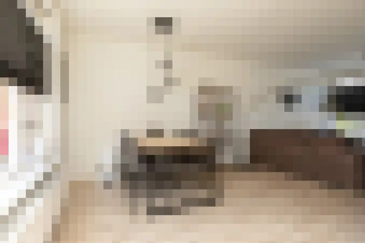 Bovenslag 21 Sneek thumbnail 7