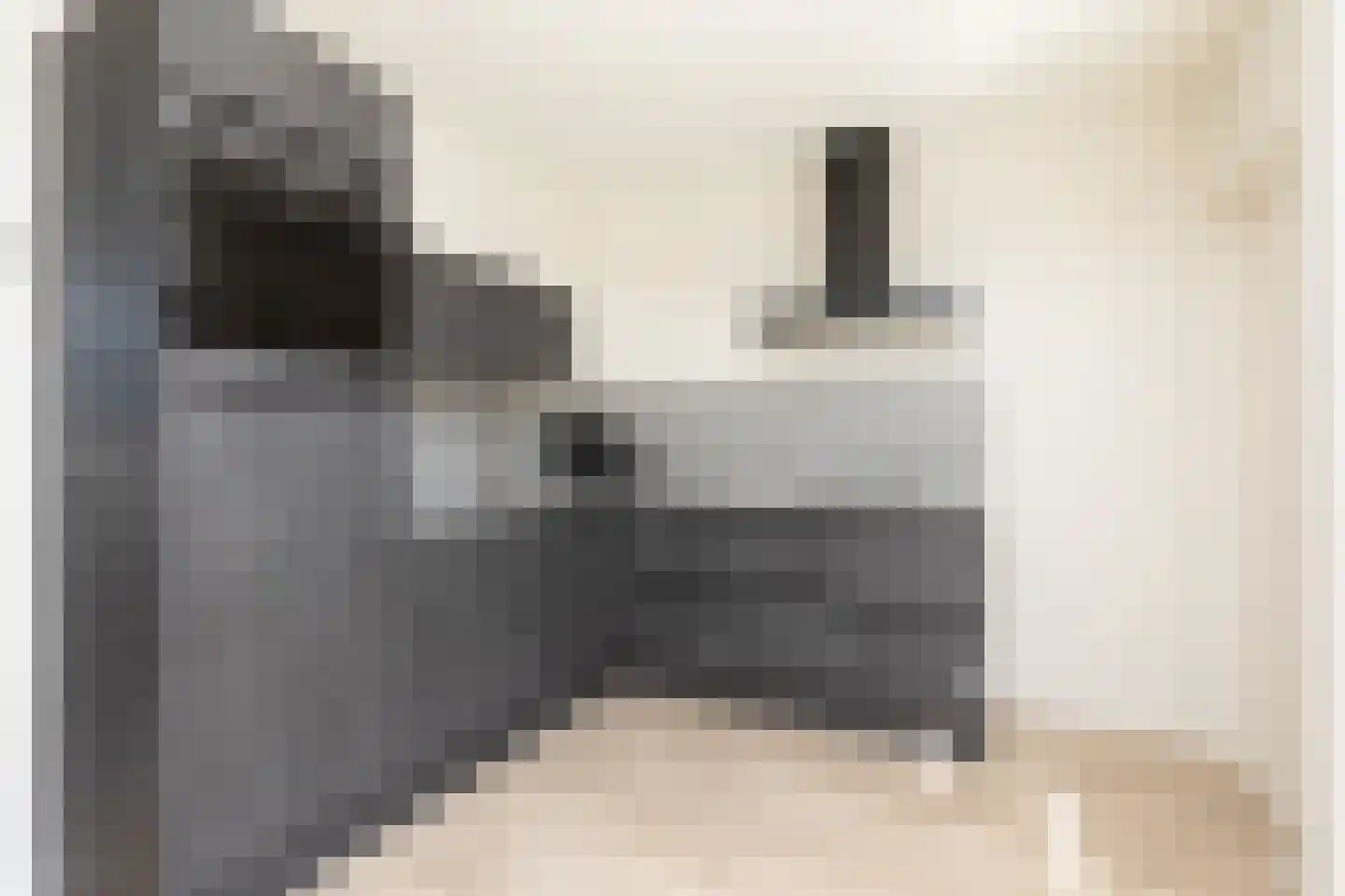 Bovenslag 21 Sneek thumbnail 8