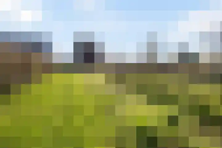 Bovenste Eind 12 Echt thumbnail 23