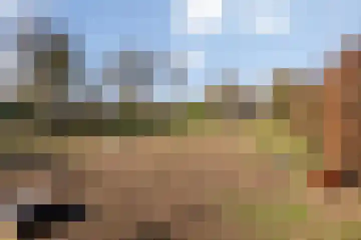 Bovenste Eind 12 Echt thumbnail 24