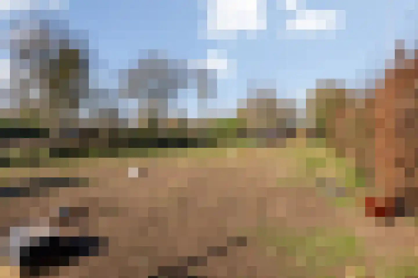Bovenste Eind 12 Echt thumbnail 24