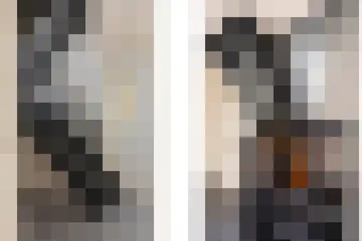 Bovenste Eind 12 Echt thumbnail 42