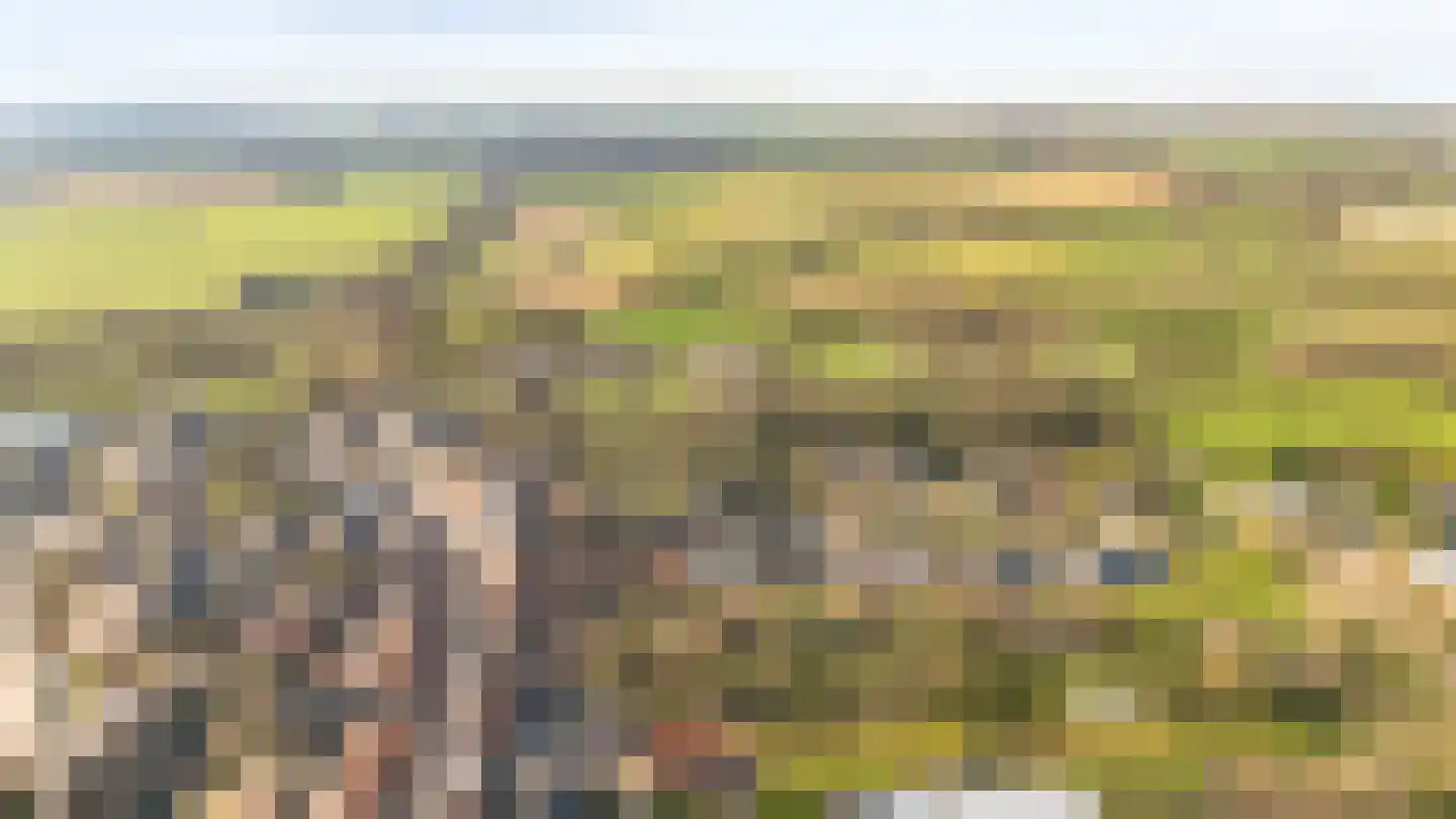 Bovenste Eind 12 Echt thumbnail 54
