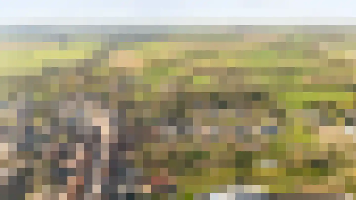 Bovenste Eind 12 Echt thumbnail 55