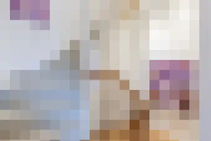 Bovenste Eind 22 Echt thumbnail 30