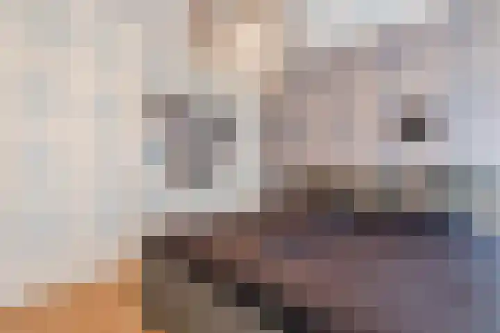 Bovenste Eind 22 Echt thumbnail 34