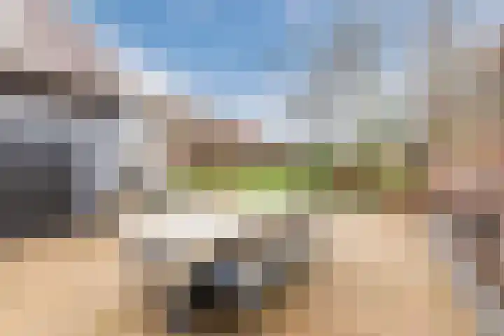 Bovenste Eind 22 Echt thumbnail 60