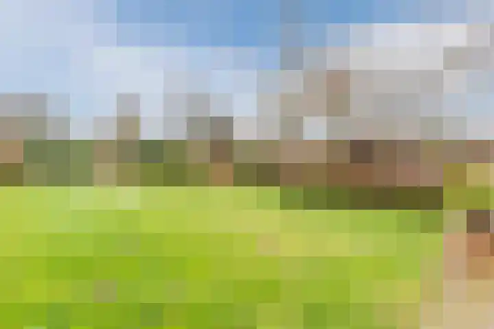 Bovenste Eind 22 Echt thumbnail 65
