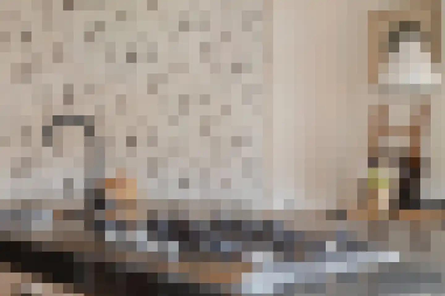Bovenste Eind 35 Echt thumbnail 44