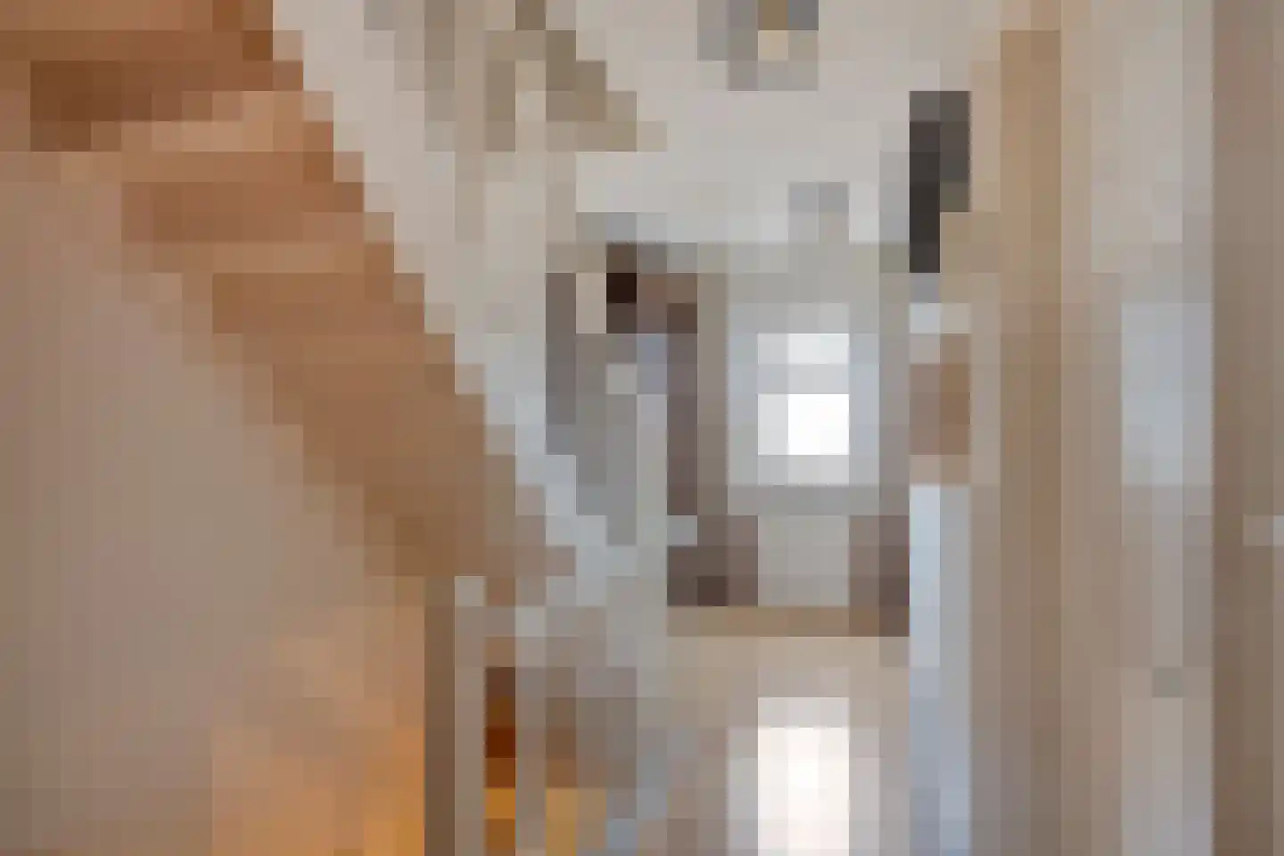 Bovenste Eind 35 Echt thumbnail 52