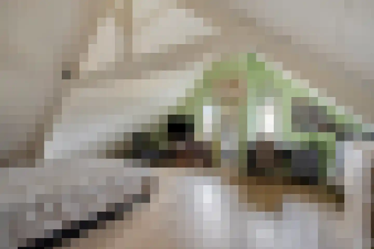 Bovenste Eind 35 Echt thumbnail 60