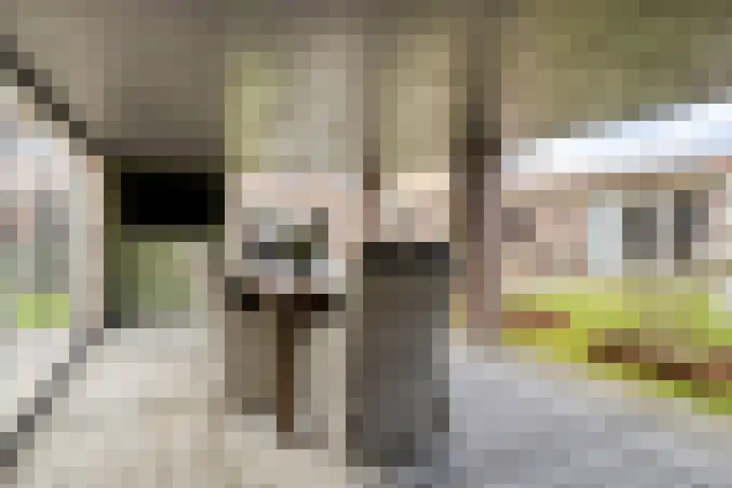 Bovenste Eind 35 Echt thumbnail 70