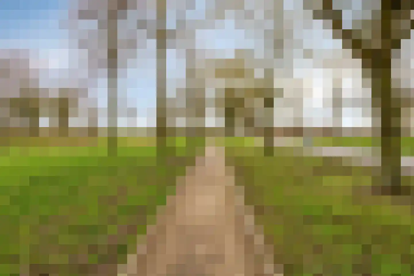 Bovenste Eind 35 Echt thumbnail 72