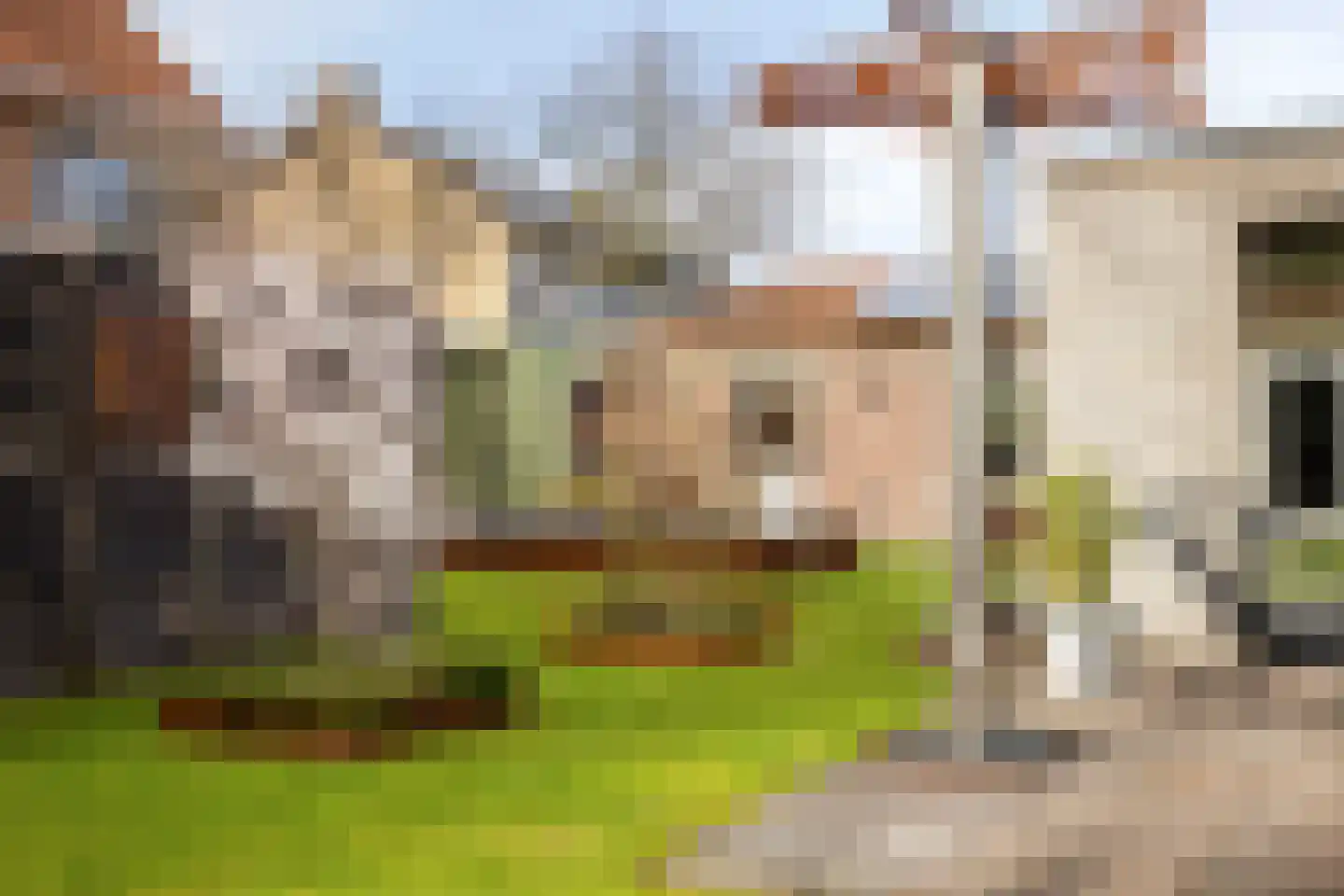 Bovenste Eind 35 Echt thumbnail 9