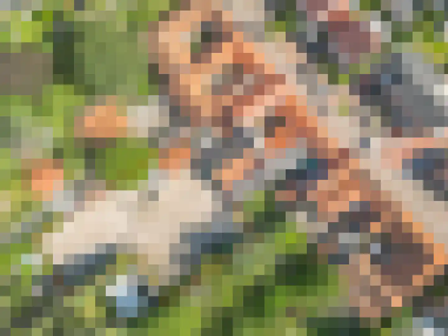 Bovenste Puth 26 Puth thumbnail 37