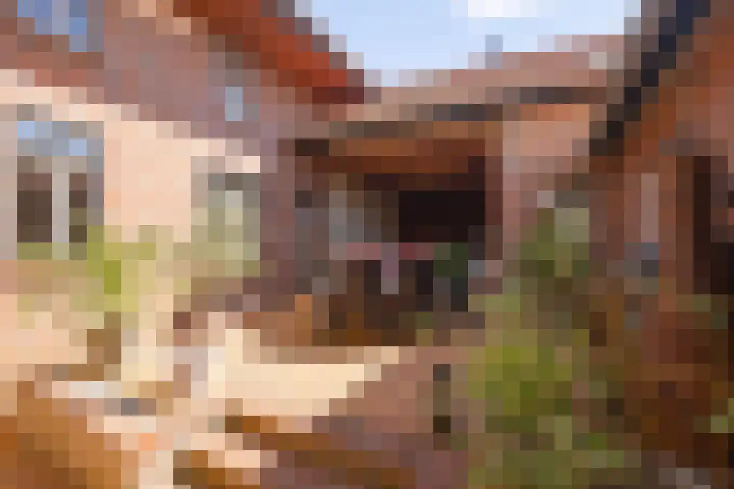 Bovenste Puth 26 Puth thumbnail 4
