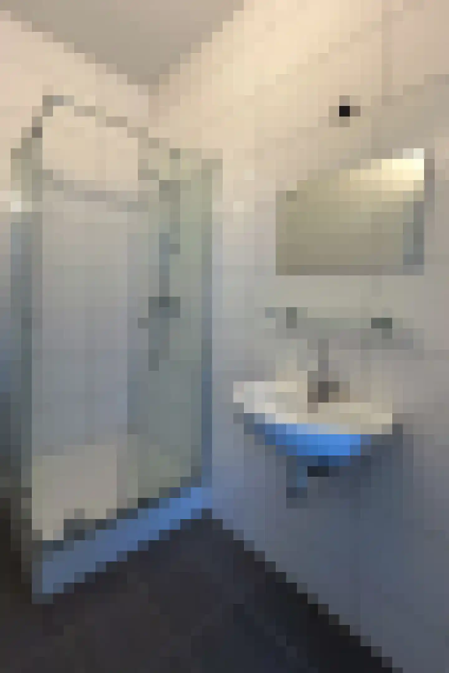 Bovenste straat 18 Echt thumbnail 46