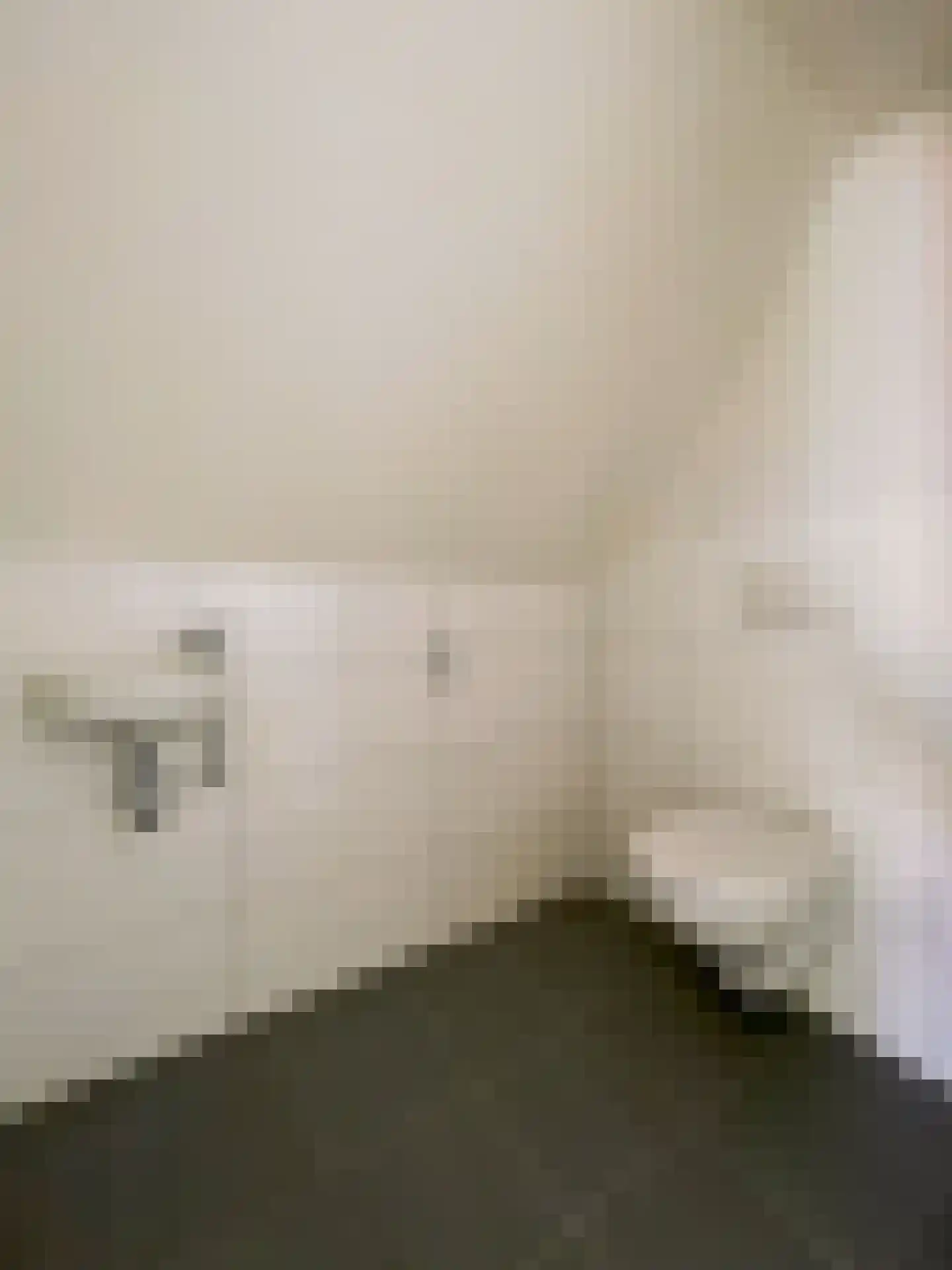 Bovenste straat 18 Echt thumbnail 49