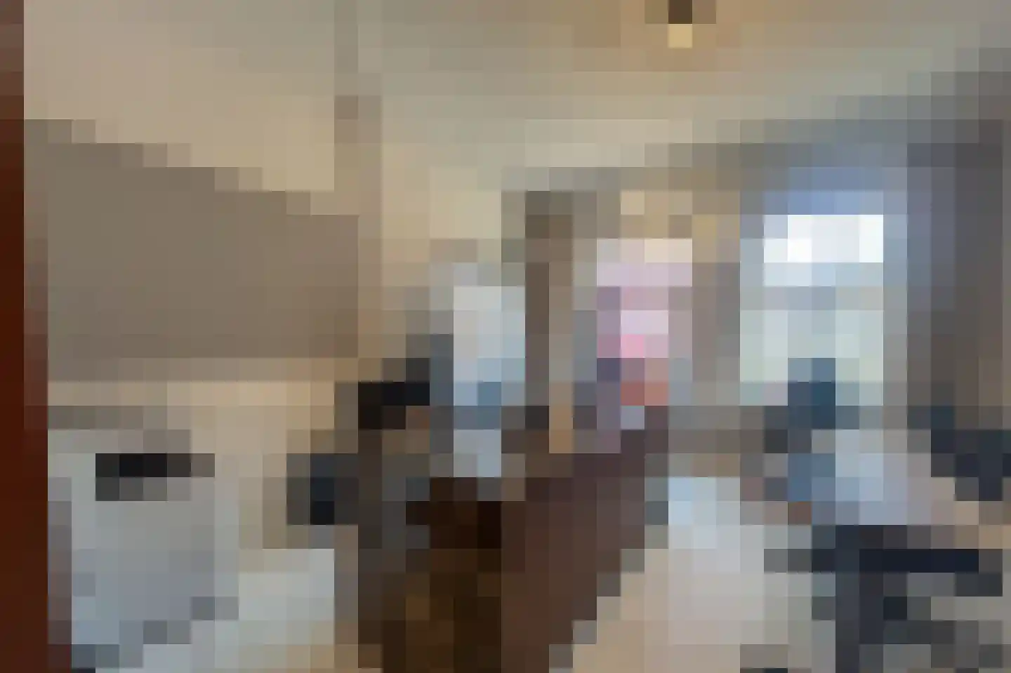 Bovenste straat 18 Echt thumbnail 5