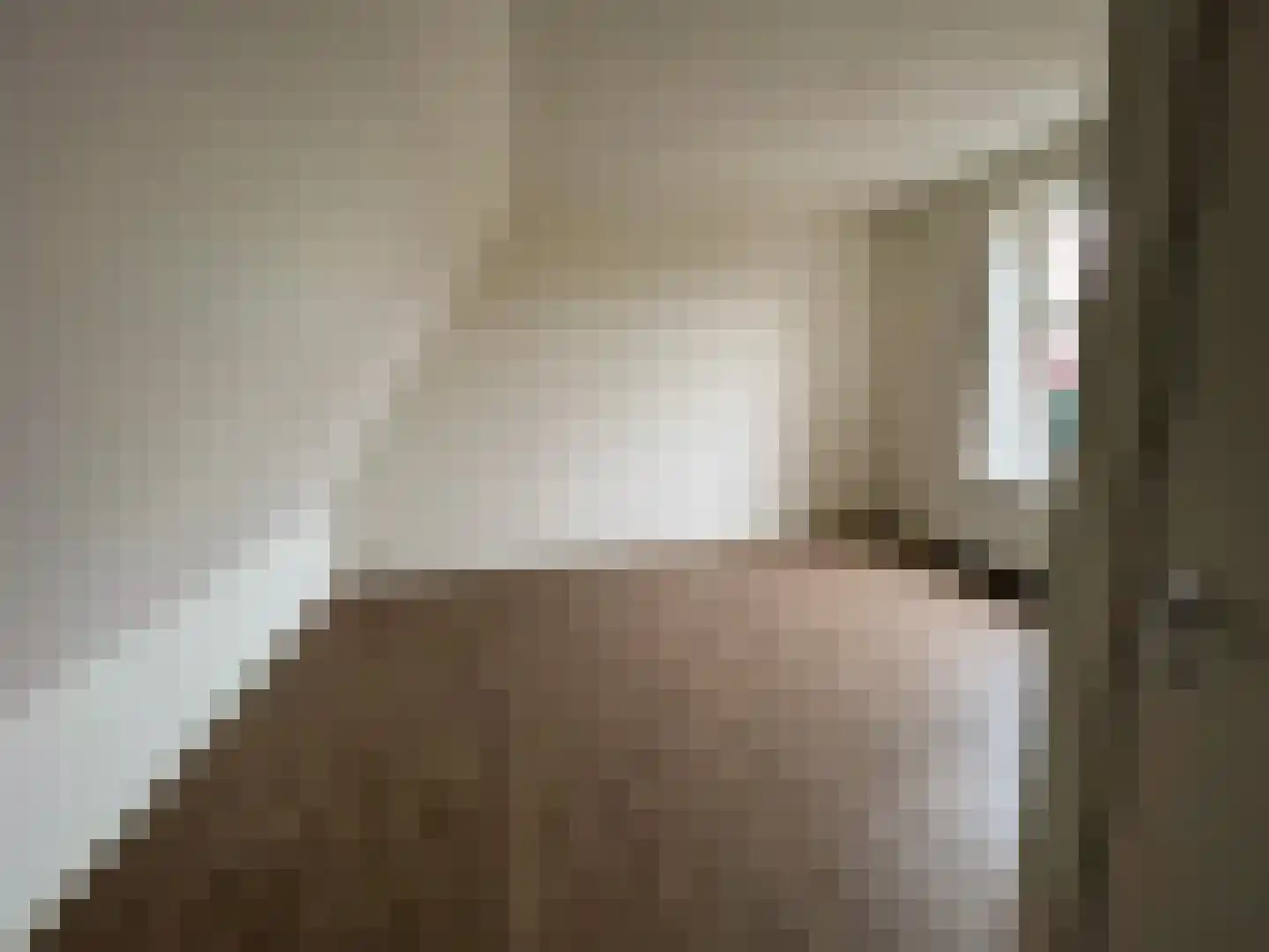 Bovenste straat 18 Echt thumbnail 51