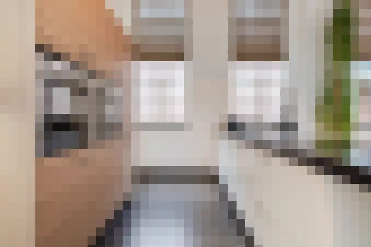 Bovenste straat 20 A Echt thumbnail 23