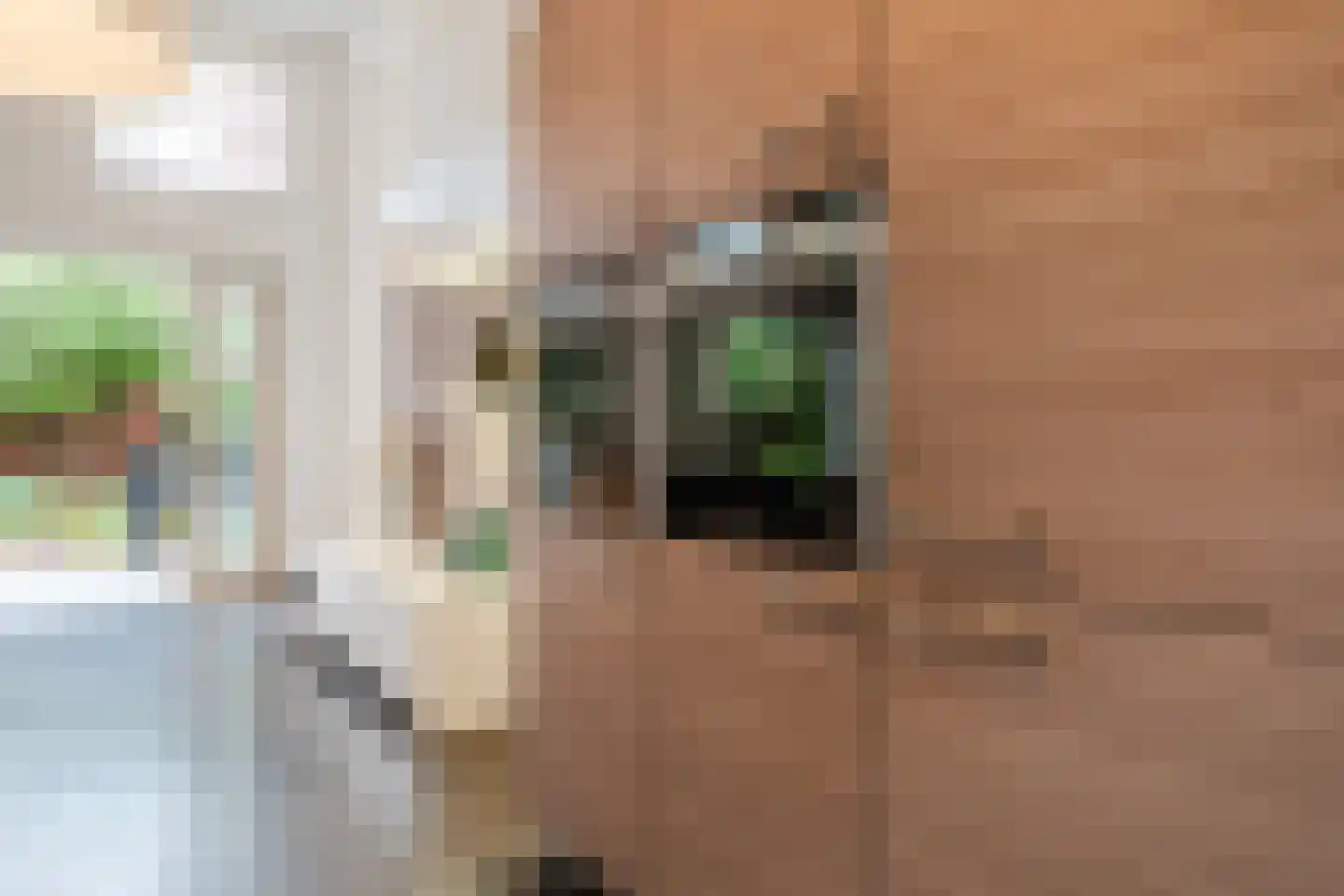 Bovenste straat 20 A Echt thumbnail 25