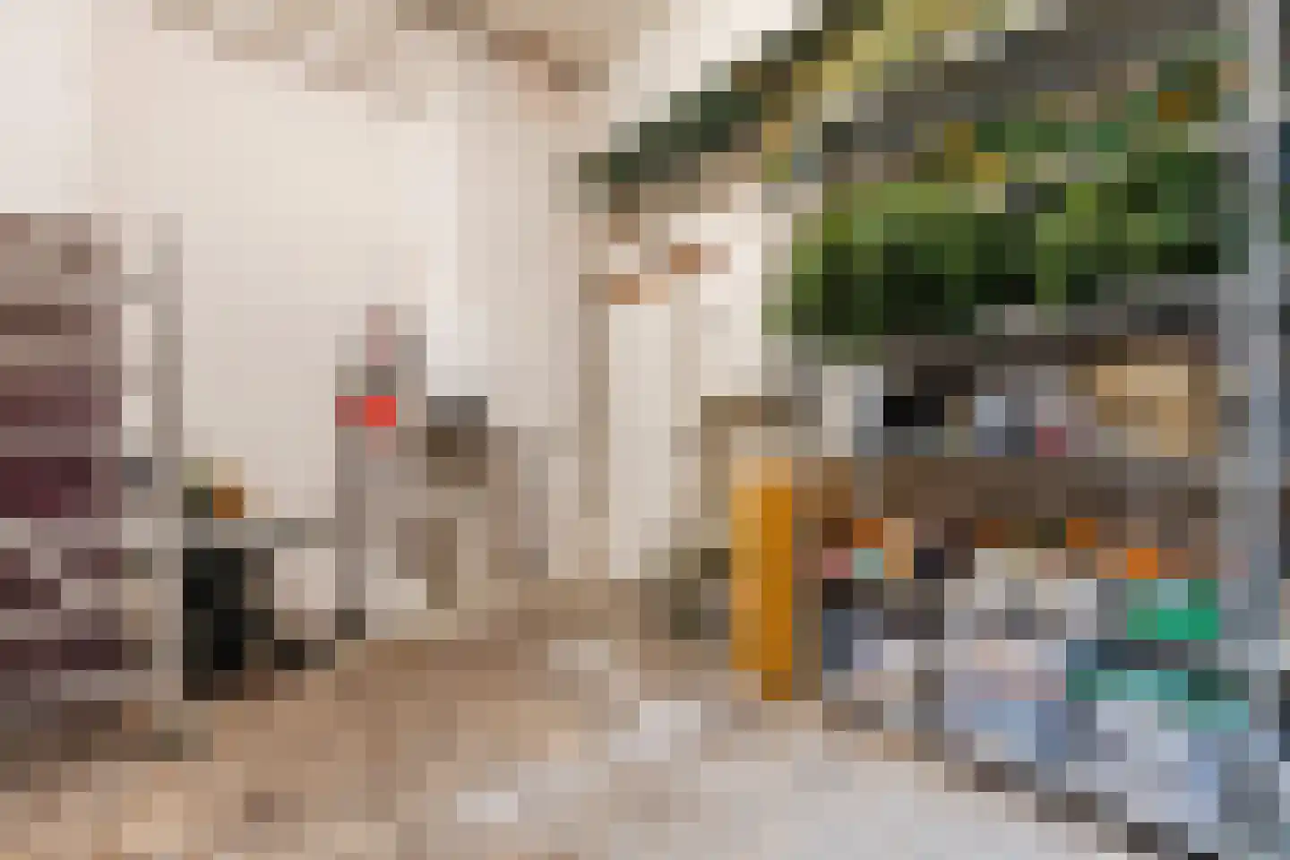 Bovenste straat 20 A Echt thumbnail 28