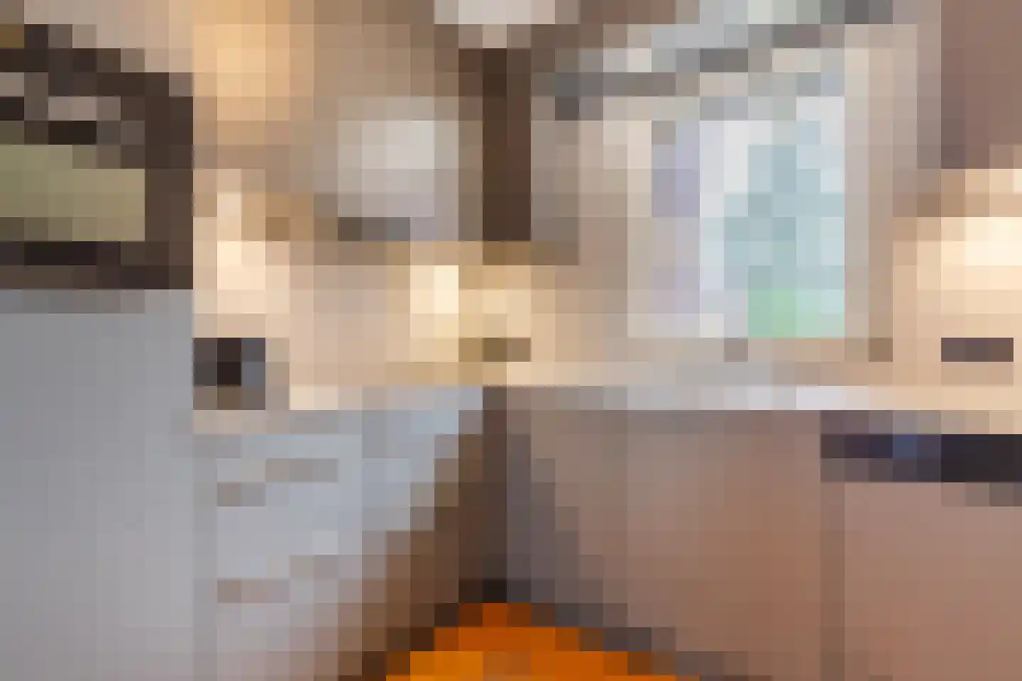Bovenste straat 20 A Echt thumbnail 36