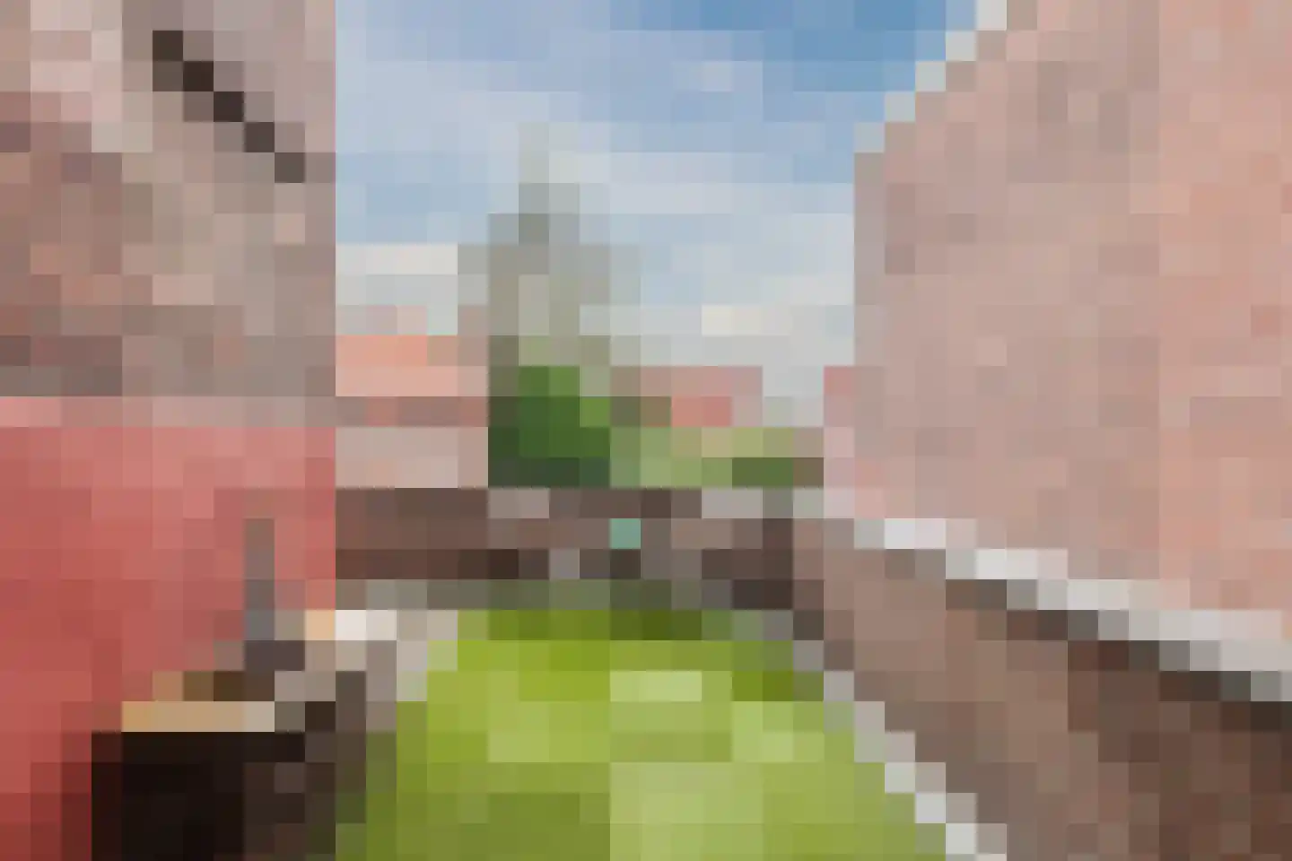 Bovenste straat 20 A Echt thumbnail 38
