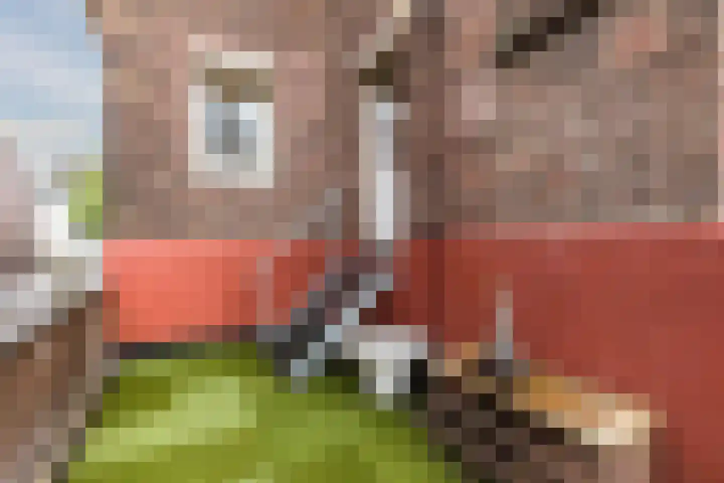 Bovenste straat 20 A Echt thumbnail 39