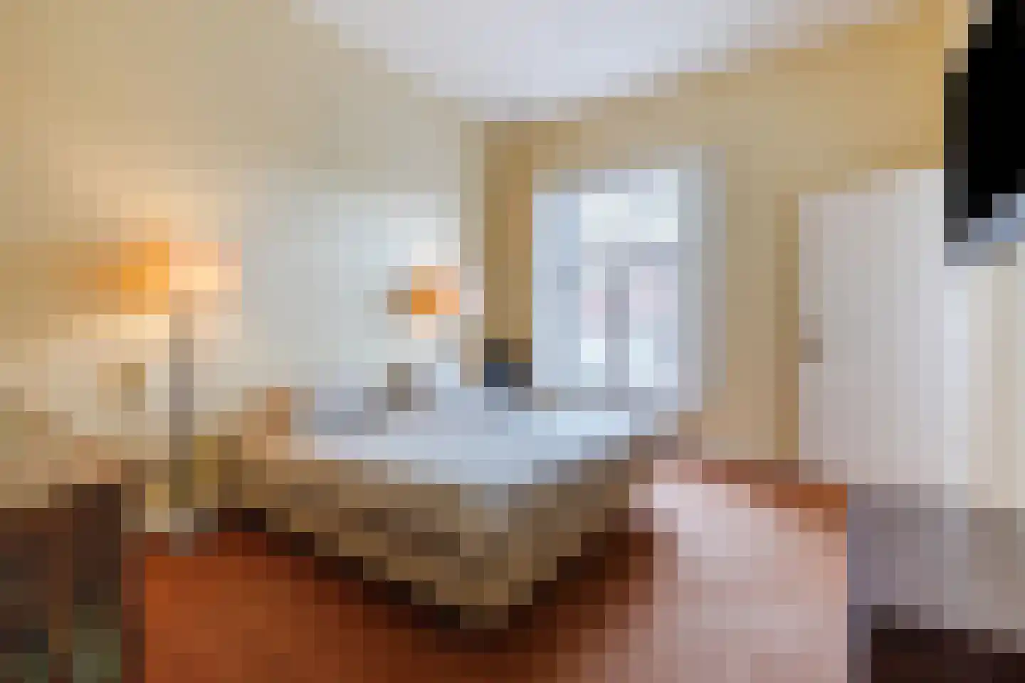 Bovenste straat 20 A Echt thumbnail 40