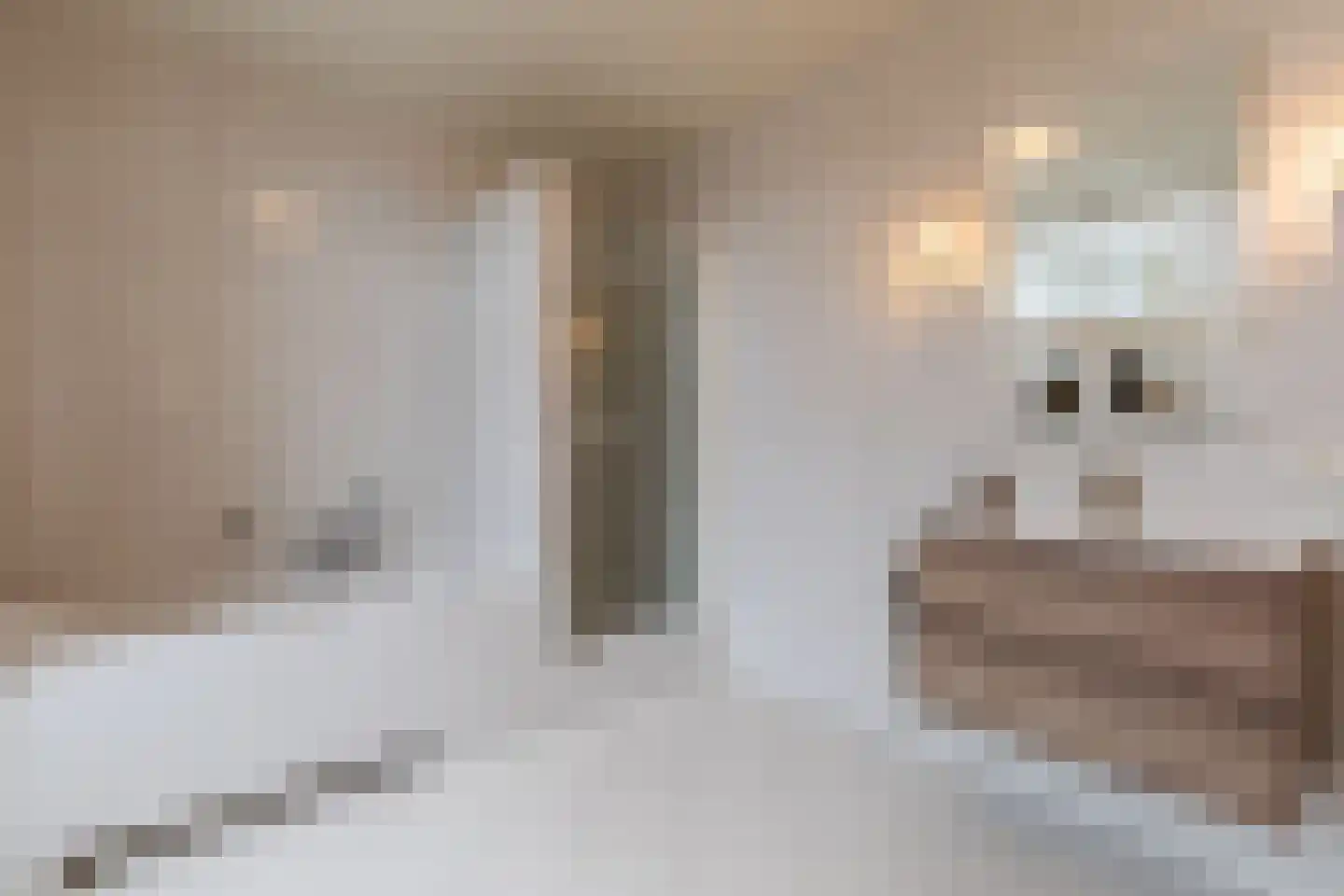 Bovenste straat 20 A Echt thumbnail 43