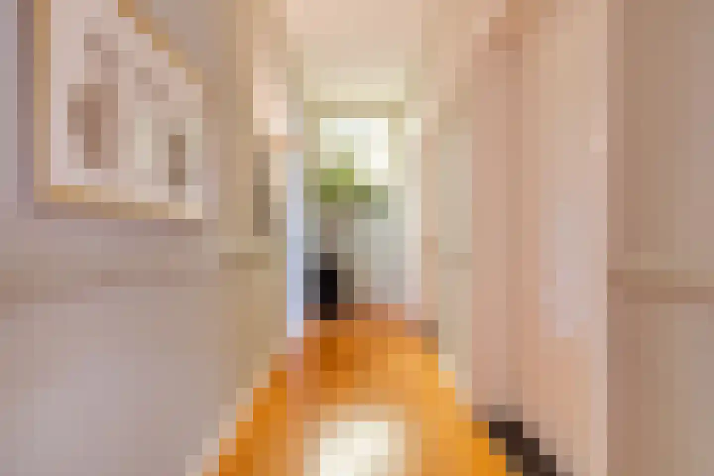 Bovenste straat 20 A Echt thumbnail 50