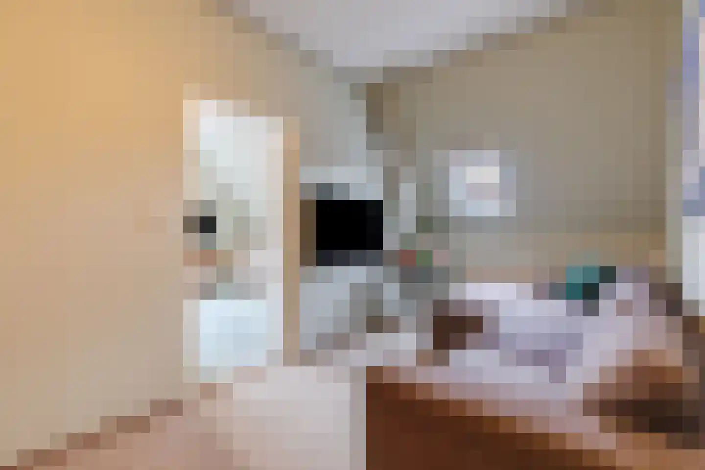 Bovenste straat 20 A Echt thumbnail 60