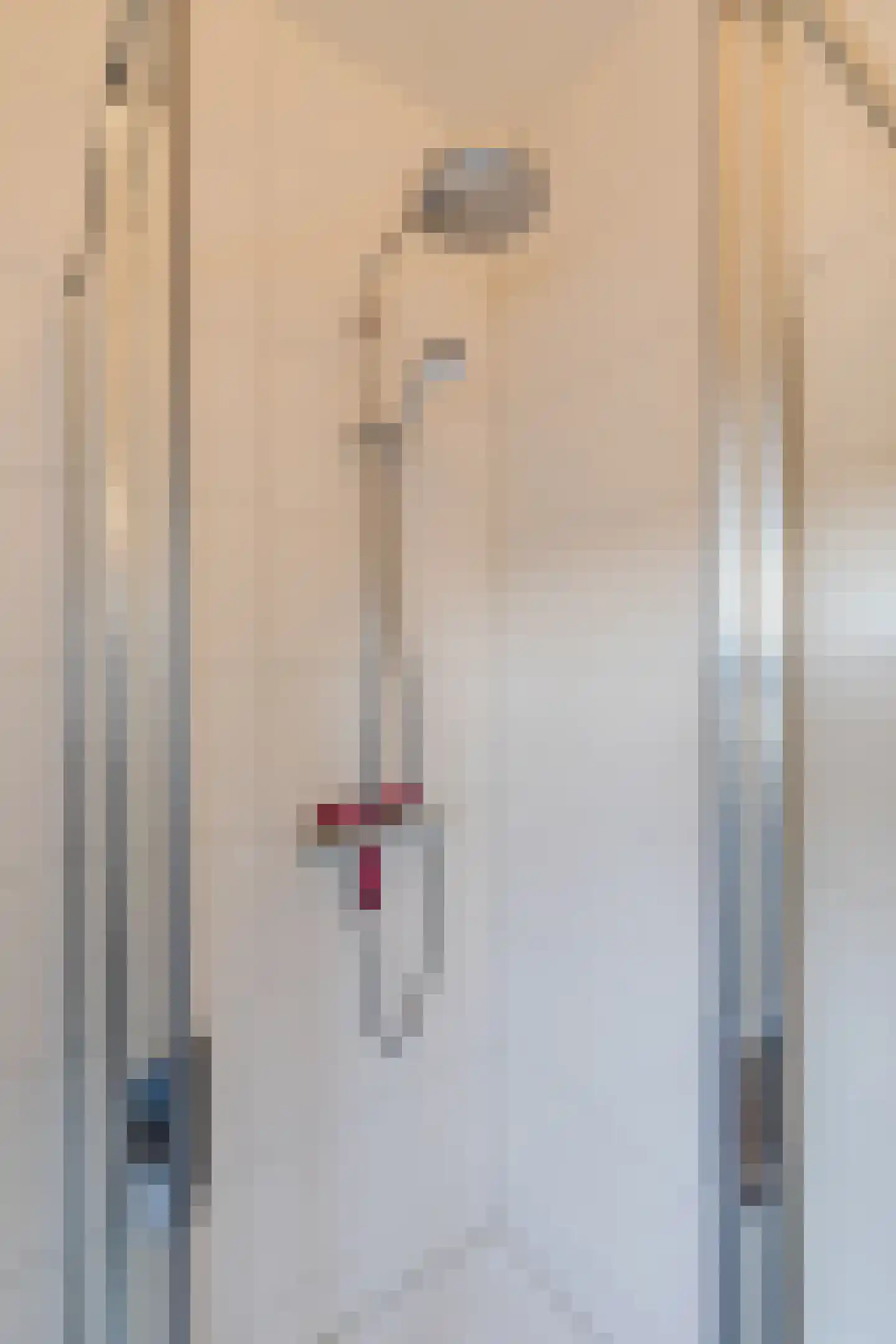 Bovenste straat 20 A Echt thumbnail 62